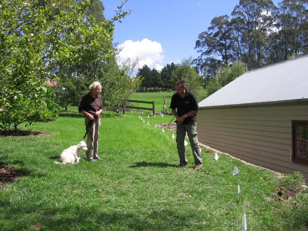 Professional training for electronic dog fence containment system