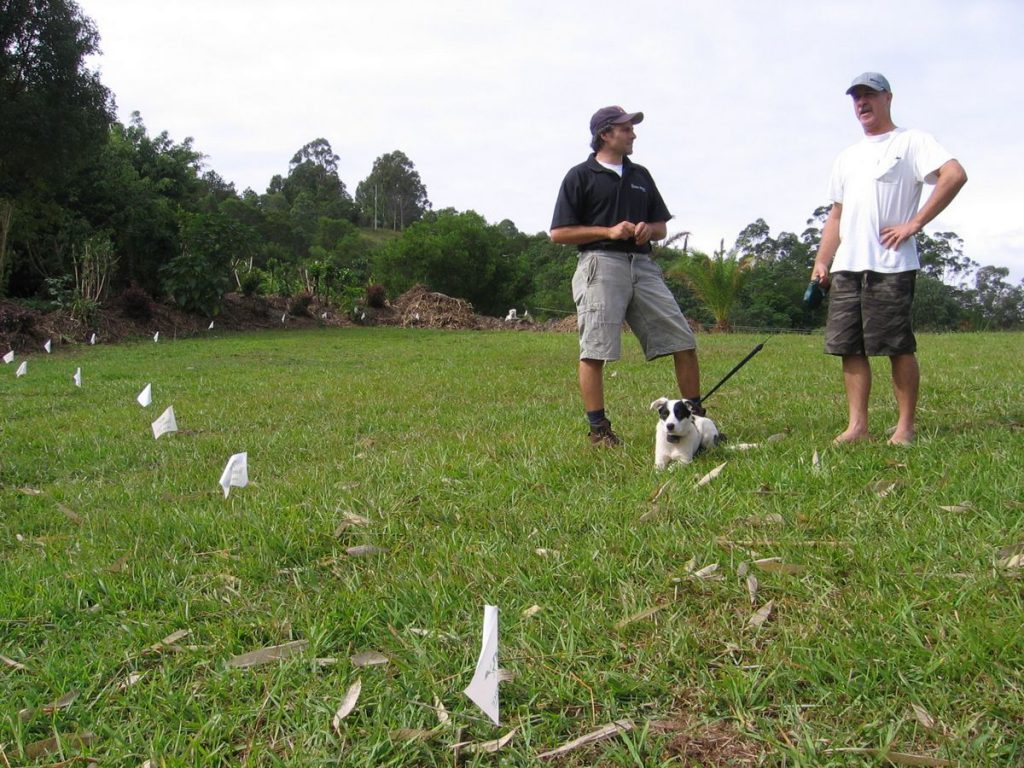 In ground Pet Fences