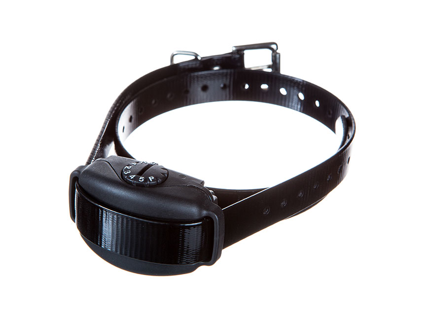 bark collar