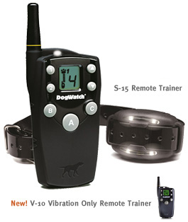 big-leash-remote-trainer