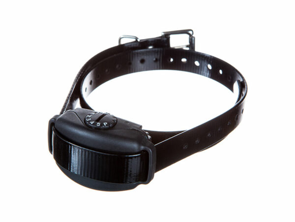 can bark collars be used on puppies