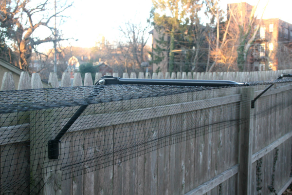 Best way to keep dog from jumping fence sale