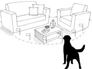 Best indoor invisible deals fence for dogs