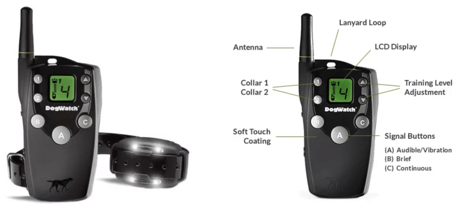 BigLeash Dog Training Collar with Remote 