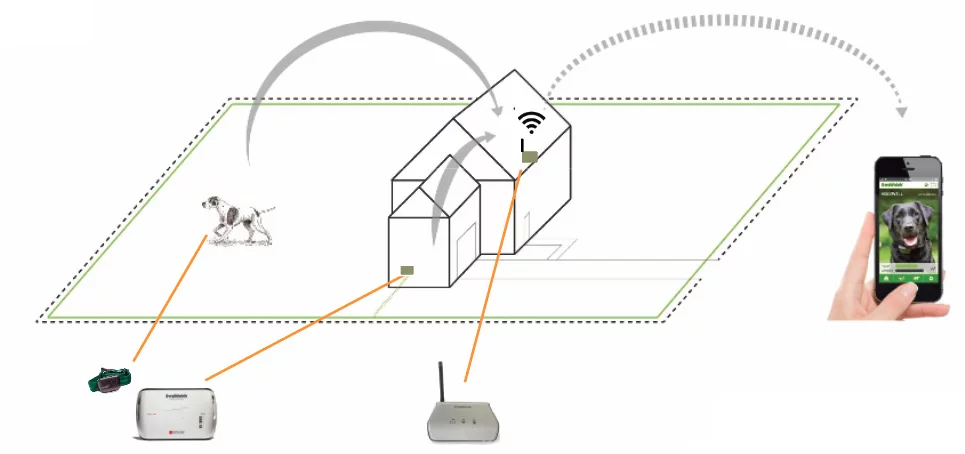 The Smart Fence® is the smartest Pet Fence in Australia, sending real time data to your smartphone