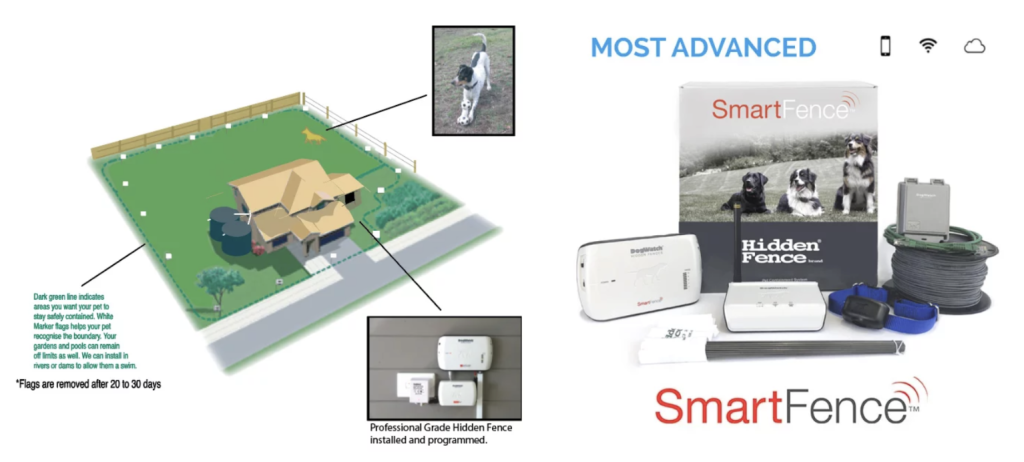 Benefits of Virtual Dog Fencing