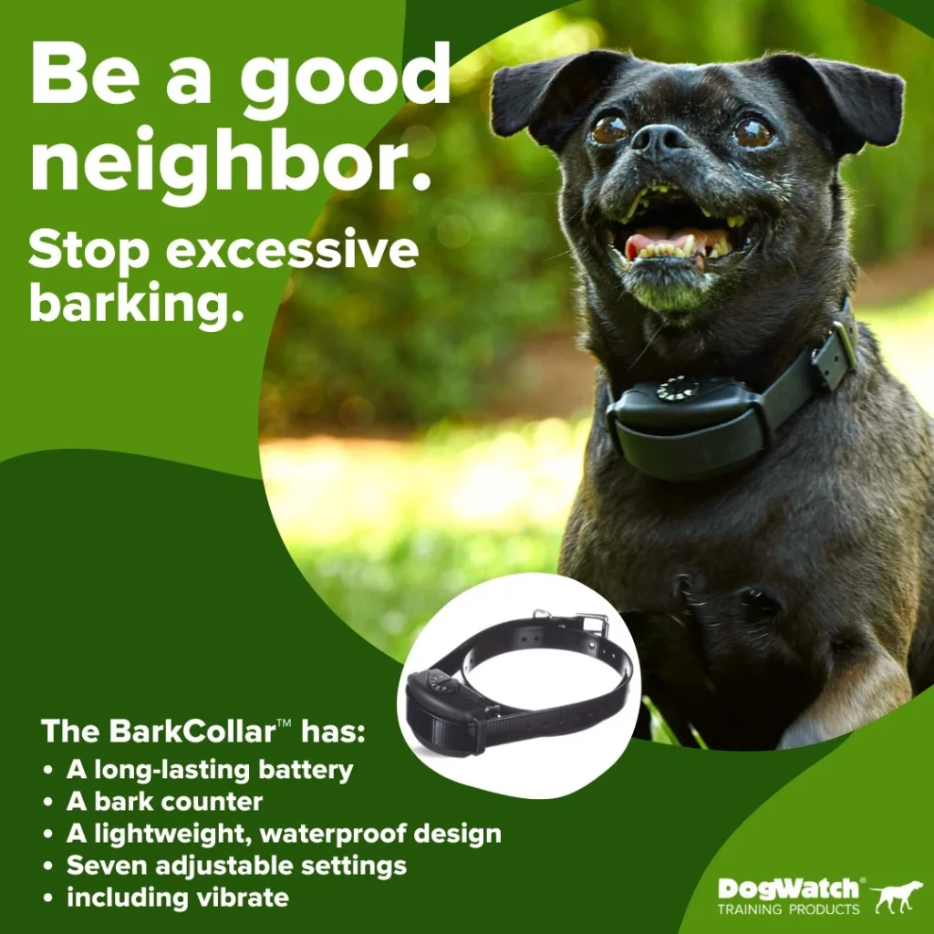Bark Collar