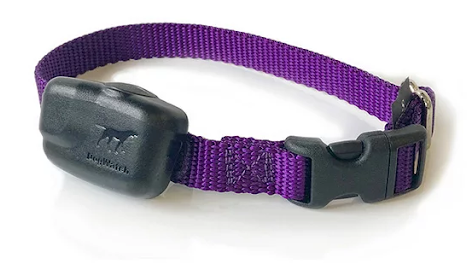 Receiver Collar for Indoor Dog Fence