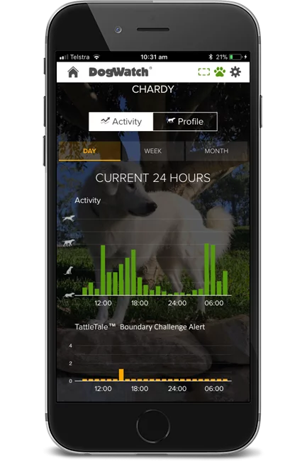 Smart Dog Fence System