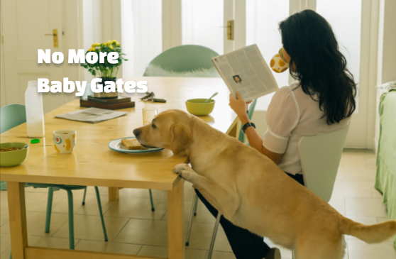 Indoor pet fences